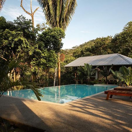 Wild Wasi Lodge - Adventures - Guided Tours Puyo Exteriér fotografie