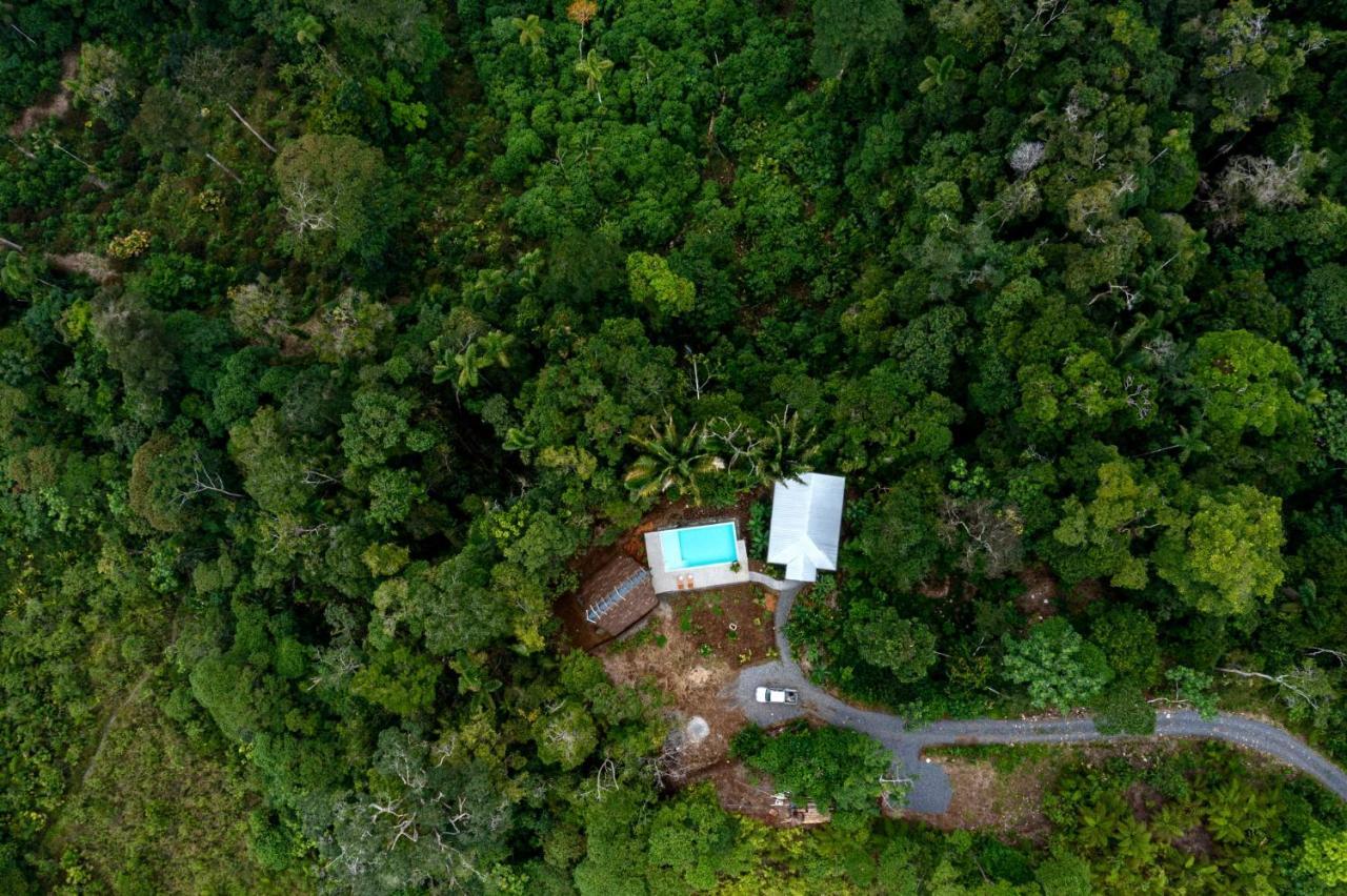 Wild Wasi Lodge - Adventures - Guided Tours Puyo Exteriér fotografie
