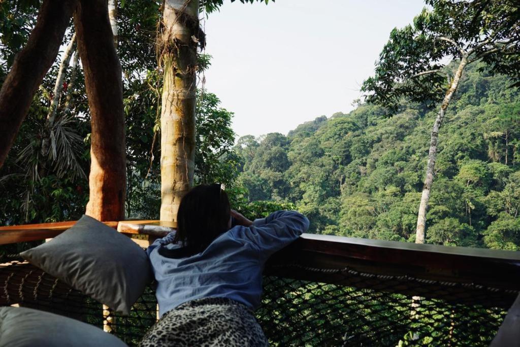 Wild Wasi Lodge - Adventures - Guided Tours Puyo Exteriér fotografie