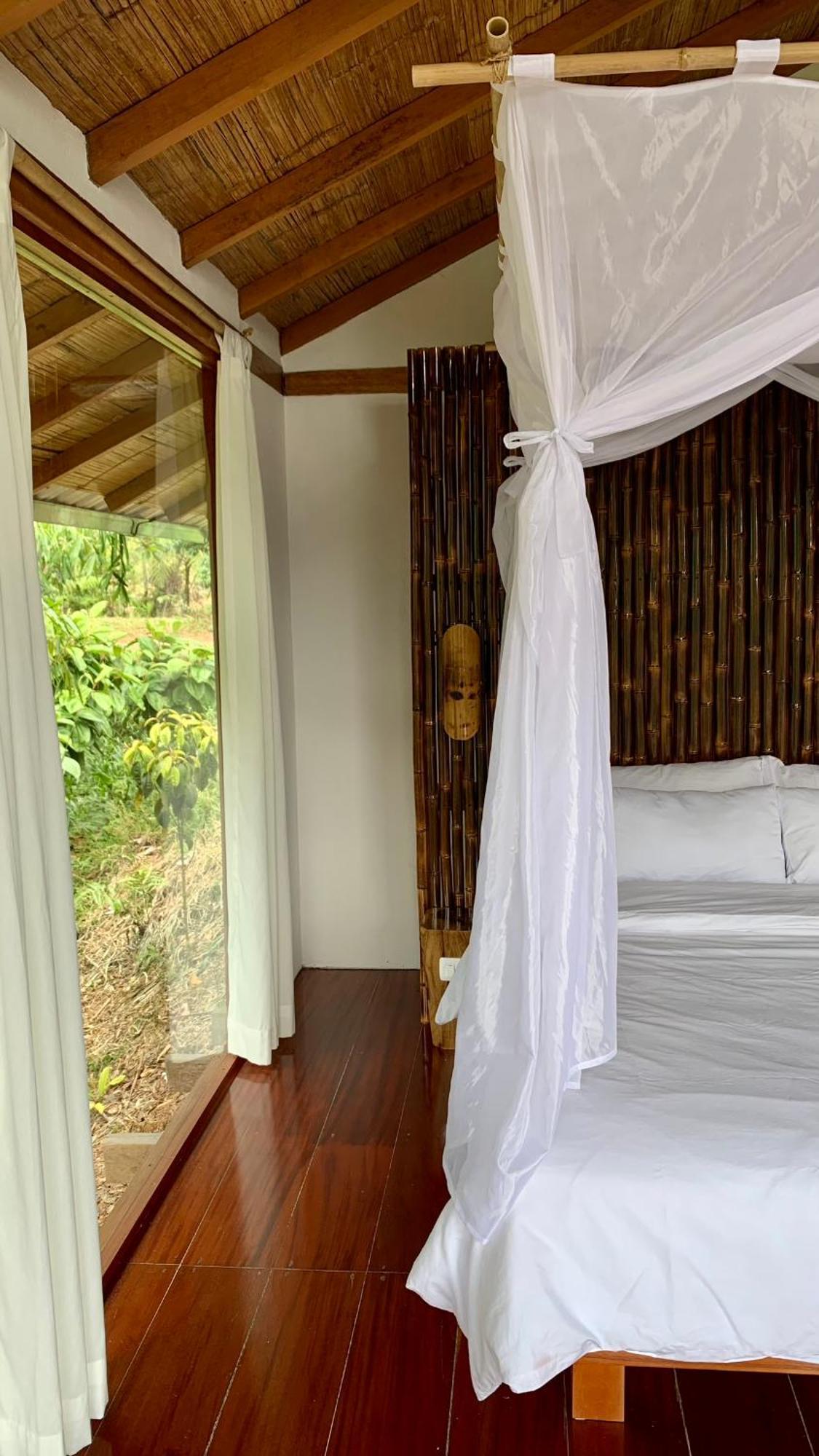 Wild Wasi Lodge - Adventures - Guided Tours Puyo Exteriér fotografie