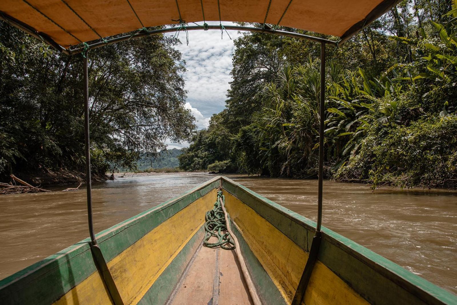 Wild Wasi Lodge - Adventures - Guided Tours Puyo Exteriér fotografie