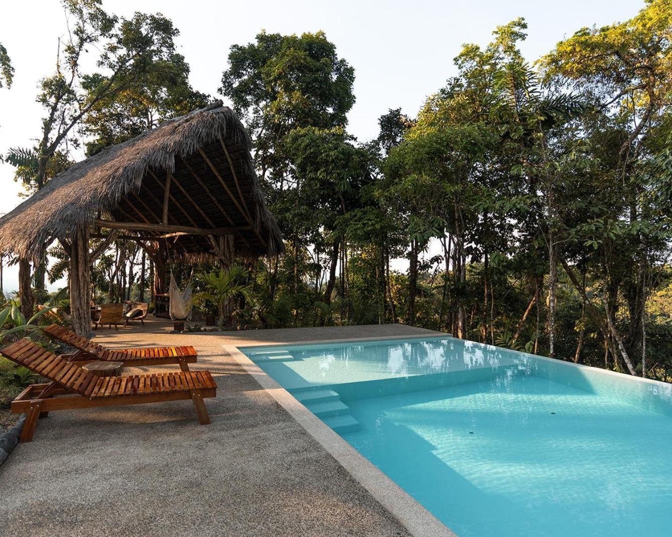 Wild Wasi Lodge - Adventures - Guided Tours Puyo Exteriér fotografie