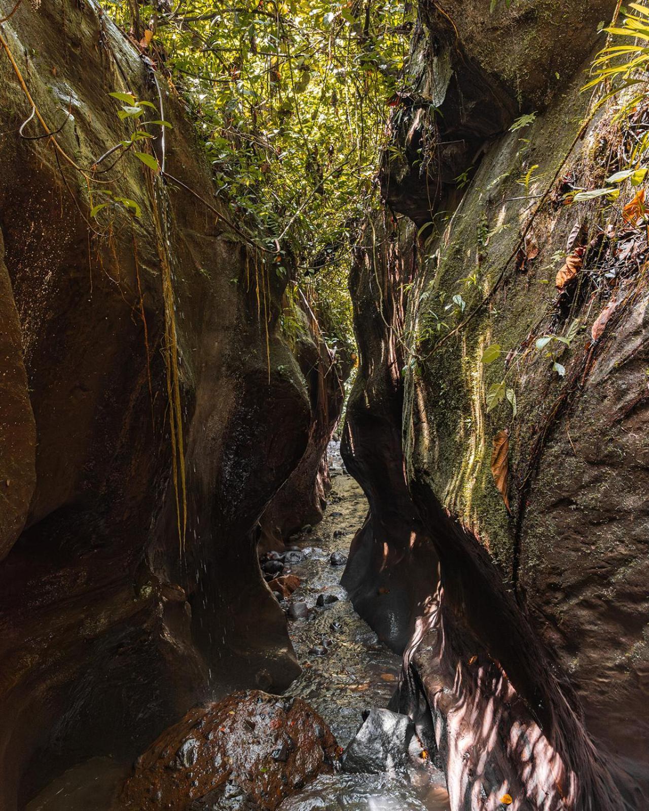Wild Wasi Lodge - Adventures - Guided Tours Puyo Exteriér fotografie