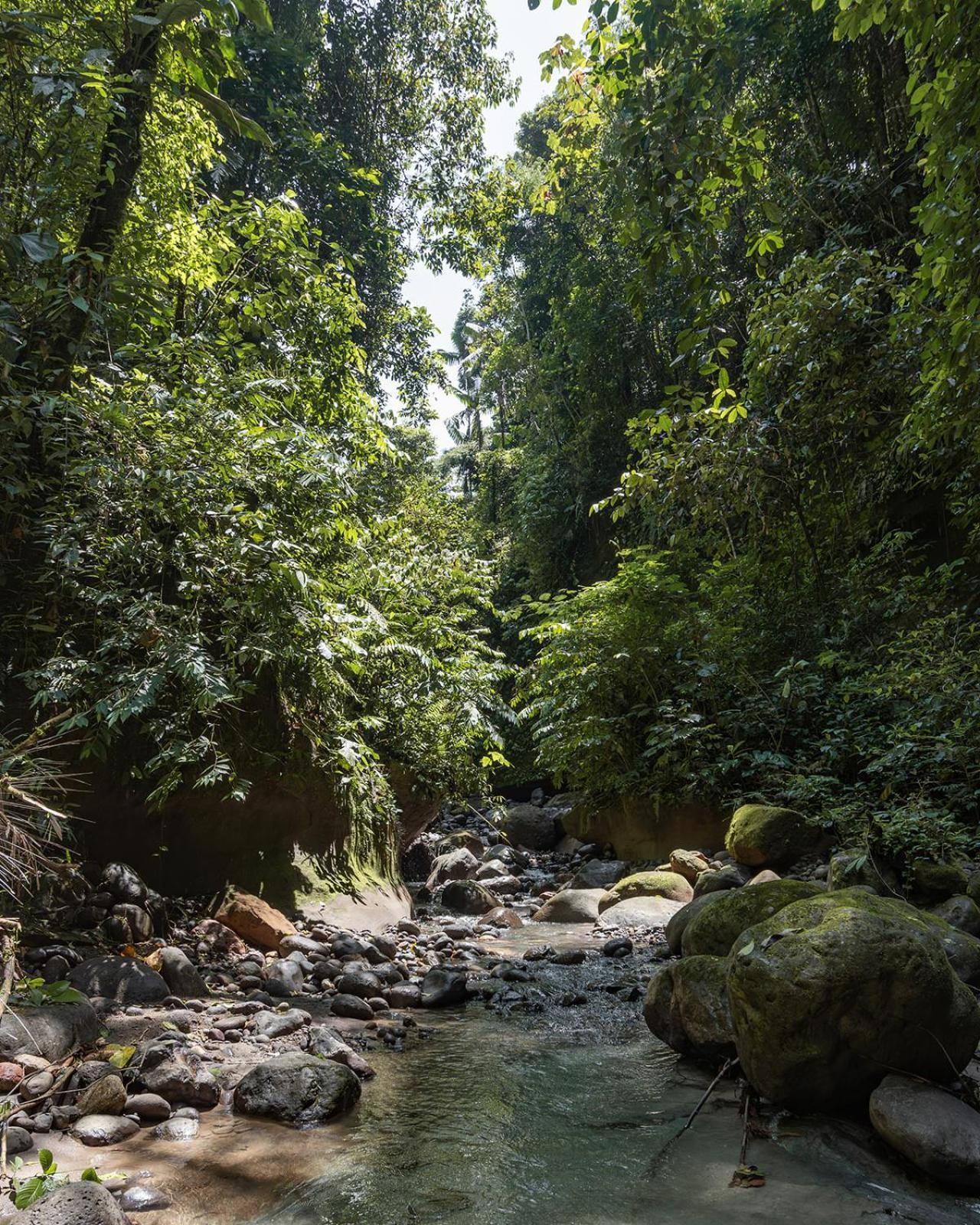 Wild Wasi Lodge - Adventures - Guided Tours Puyo Exteriér fotografie